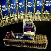 (image for) CCI Mini-Mag VARMINT 22 LR 36 gr. #31 CPHP 100 rnd/sleeve