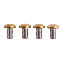 (image for) 1911 TiN-COATED TORX & ALLEN HEAD GRIP SCREWS