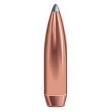 BOAT TAIL 25 CALIBER (0.257\") SOFT POINT BULLETS