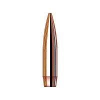 MATCH 22 CALIBER (0.224") HOLLOW POINT BOAT TAIL BULLETS