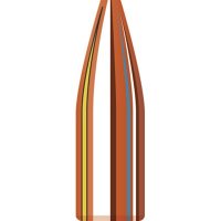 (image for) MATCH 22 CALIBER (0.224") HOLLOW POINT BULLETS