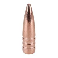 BARNES TRIPLE SHOCK X 303 CALIBER (0.311") BULLETS