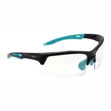 (image for) TEAL SHOOTING GLASSES