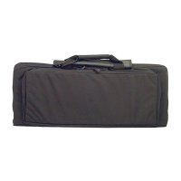 HOMELAND SECURITY DISCREET CASE