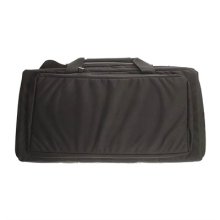 HOMELAND SECURITY DISCREET CASE