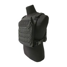 (image for) MINIMALIST PLATE CARRIER