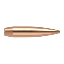 CUSTOM COMPETITION 6MM (0.243\") HOLLOW POINT BOAT TAIL BULLETS