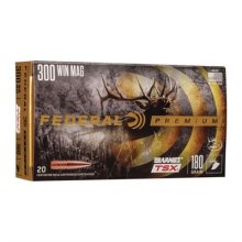 (image for) VITAL-SHOK AMMO 300 WIN MAG 180GR HP