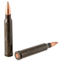 Traditions Rifle Training Cartridge 300 Winchester Mag (2 CT)