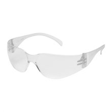 (image for) Intruder Clear Safety Glasses W/Clear Templates