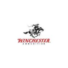 Winchester Ammo 22-250 Rem USA 45gr JHP