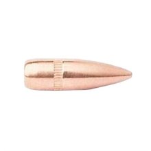 (image for) CAMPRO 22 CALIBER (0.224\") BULLETS