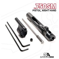 (image for) AR-15 ADJUSTABLE PISTON SYSTEM WITH SOLID 0.750" GAS BLOCK