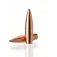 (image for) MTH GEN2 MATCH/TACTICAL/HUNTING 6MM CALIBER .243" RIFLE BULLETS
