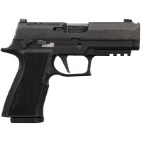 (image for) P320 XTEN COMP 10MM AUTO SEMI-AUTO HANDGUN