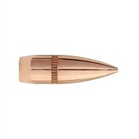 GAMEKING 22 CALIBER (0.224") BULLETS