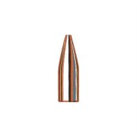 MATCH 22 CALIBER (0.224") HOLLOW POINT BULLETS