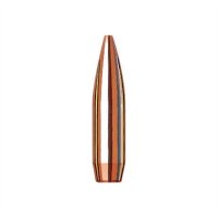 MATCH 22 CALIBER (0.224") HOLLOW POINT BOAT TAIL BULLETS