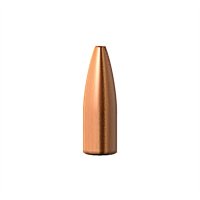 (image for) VARMINT GRENADE 20 CALIBER (0.204") FLAT BASE BULLETS