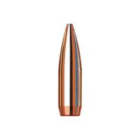 (image for) 6MM (0.243") HOLLOW POINT BOAT TAIL BULLETS