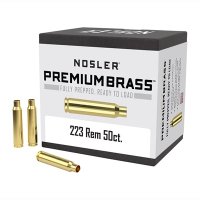 223 REMINGTON BRASS CASE