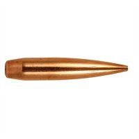 (image for) BERGER TARGET BULLETS