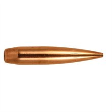 (image for) BERGER TARGET BULLETS