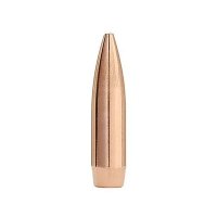 (image for) MATCHKING 22 CALIBER (0.224") HOLLOW POINT BOAT TAIL BULLETS