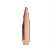 (image for) MATCHKING 22 CALIBER (0.224") HOLLOW POINT BOAT TAIL BULLETS