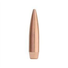 (image for) MATCHKING 22 CALIBER (0.224\") HOLLOW POINT BOAT TAIL BULLETS