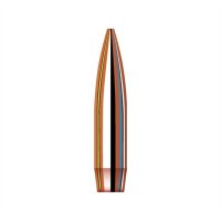 MATCH 6MM (0.243") HOLLOW POINT BOAT TAIL BULLETS