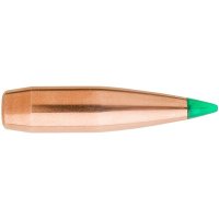 (image for) TIPPED GAMEKING BULLETS