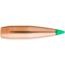 (image for) TIPPED GAMEKING 30 CALIBER (0.308\") PTBT RIFLE BULLETS
