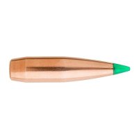 (image for) TIPPED GAMEKING BULLETS