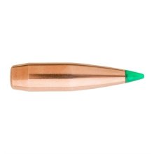 (image for) TIPPED GAMEKING BULLETS