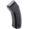 RUGER~ 10/22~ 15RD MAGAZINE 22 LR