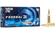 (image for) FED PWRSHK 243WIN 85GR CPR 20/200
