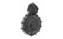 (image for) PROMAG RUG 1022 CHRGR 22LR 30RD DRM