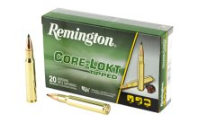 REM 30-06SPRG 180GR CL TIPPED 20/200