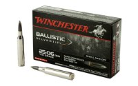 (image for) WIN BLSTC TIP 2506RM 115GR 20/200