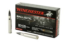 (image for) WIN BLSTC TIP 3006SP 150GR 20/200