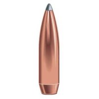BOAT TAIL 25 CALIBER (0.257") SOFT POINT BULLETS