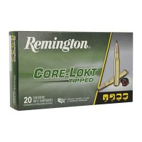 CORE-LOKT AMMO 243 WINCHESTER 100GR POINTED SP